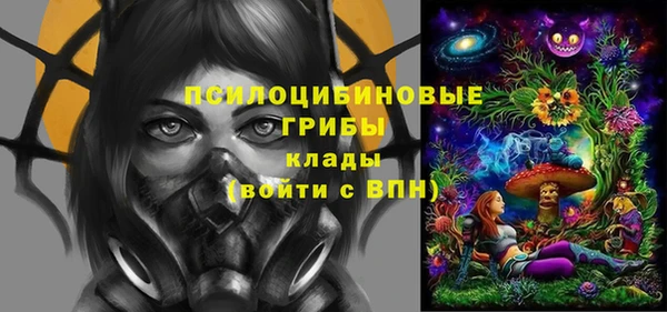 дживик Алексин