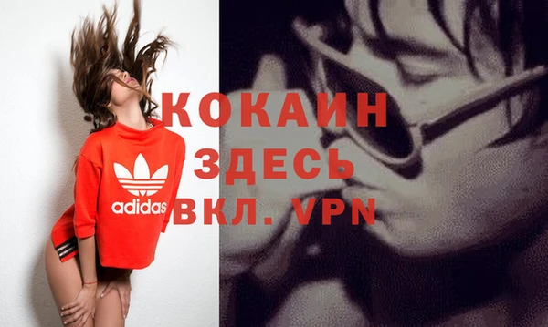 дживик Алексин