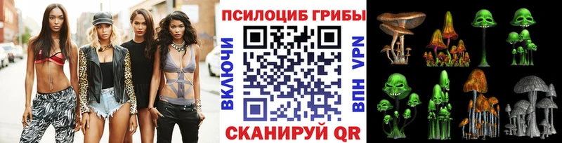 Псилоцибиновые грибы MAGIC MUSHROOMS  дарк нет наркотические препараты  Москва  где купить наркоту 